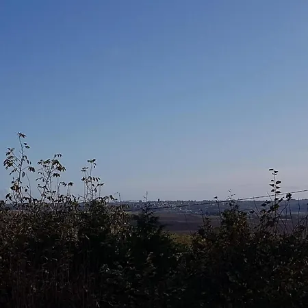 D'artagnan Appartement Terraube